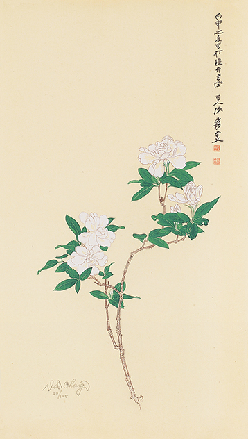 栀子花开22/125