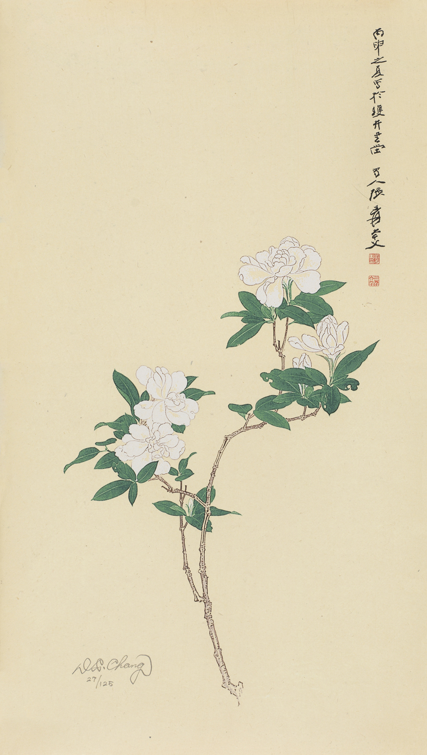 栀子花27/125