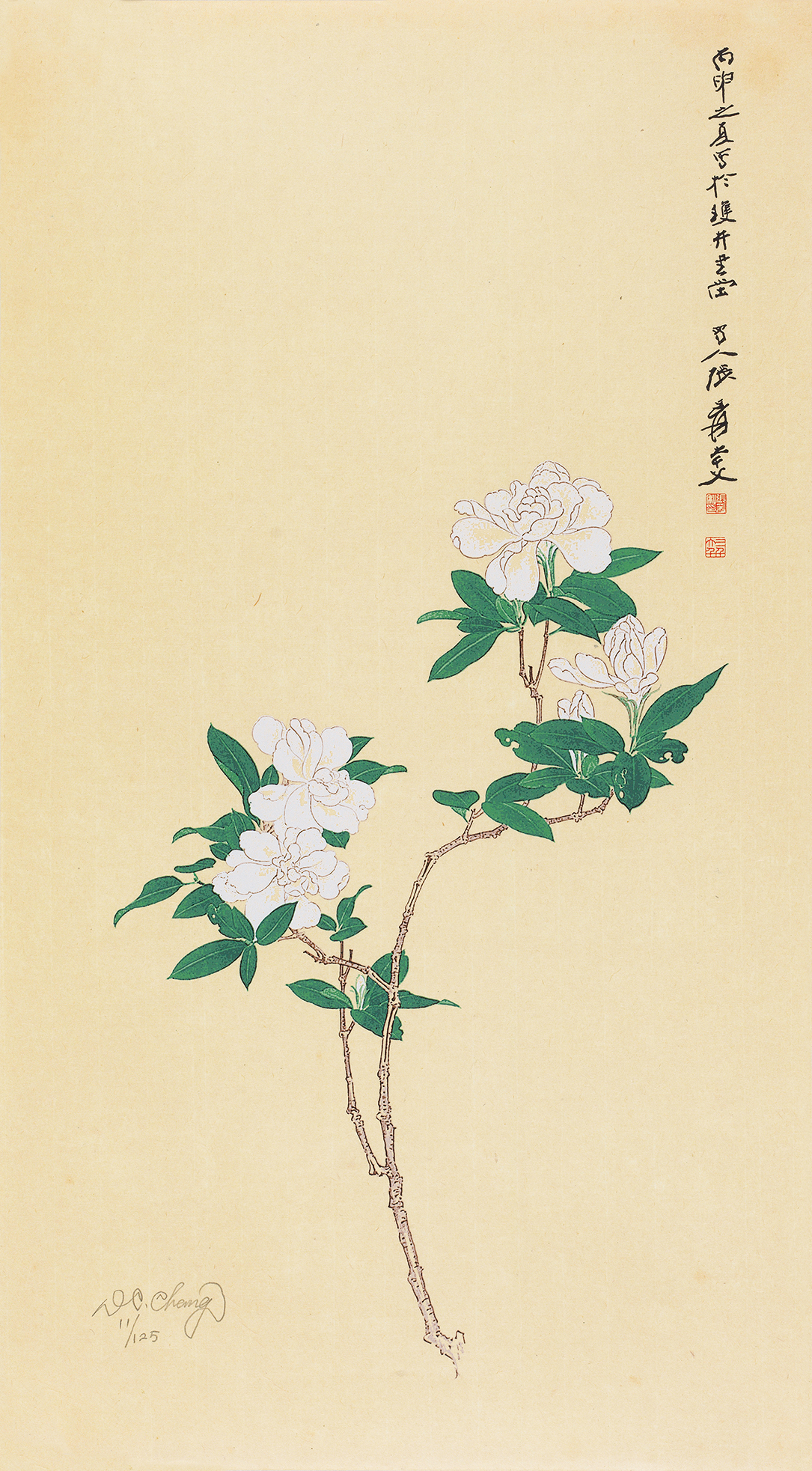 栀子花11/125