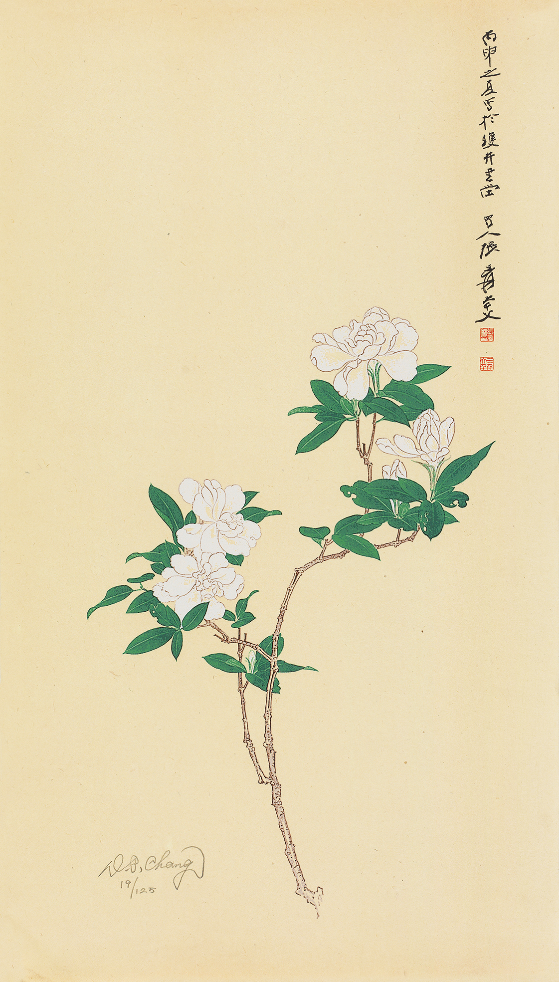 栀子花19/125