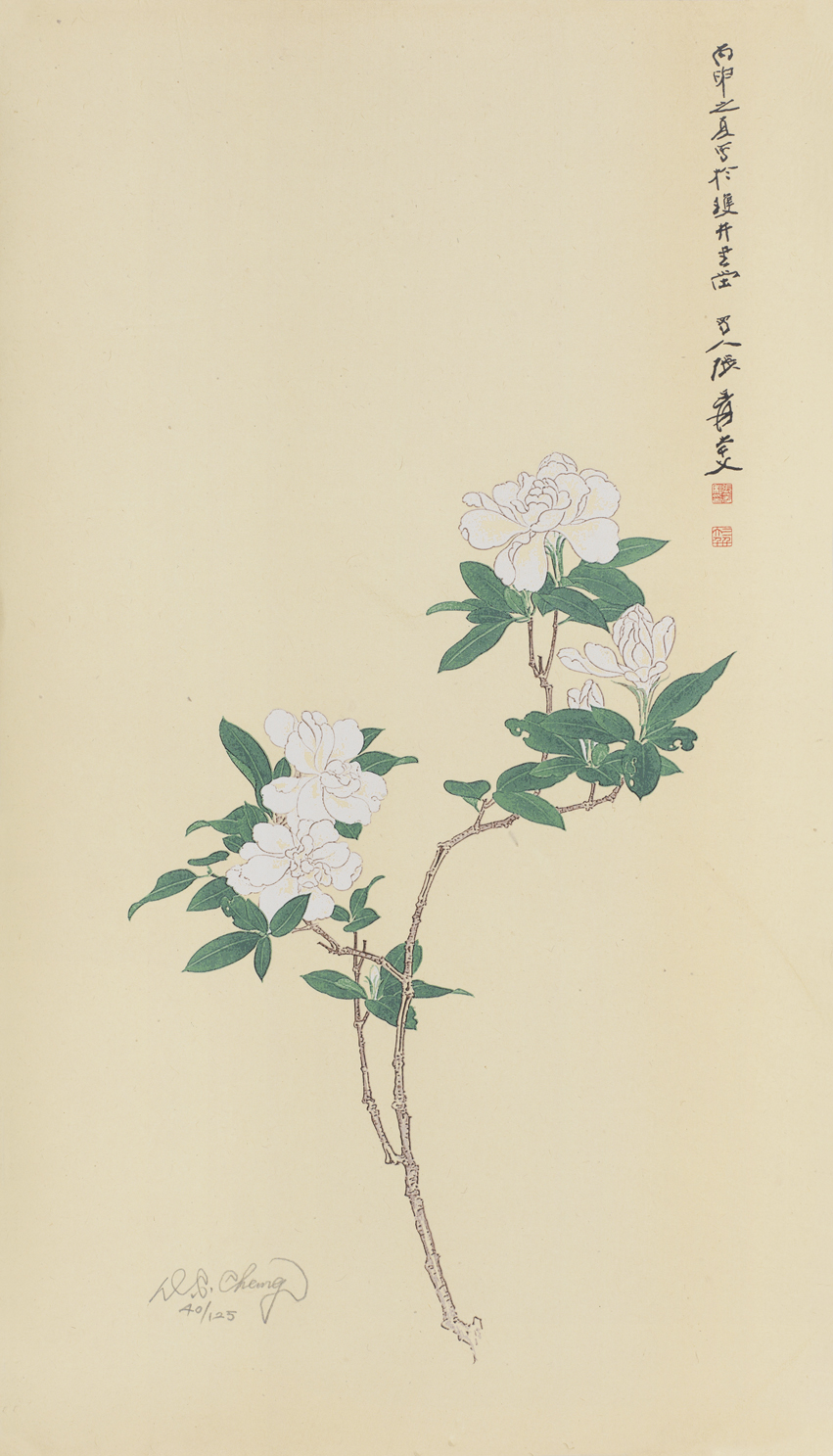 栀子花开40/125