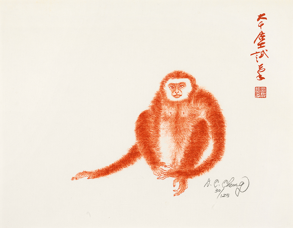 猿30/125