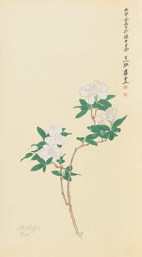 栀子花开13/125