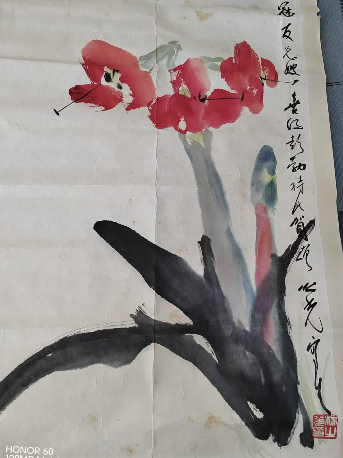 兰花