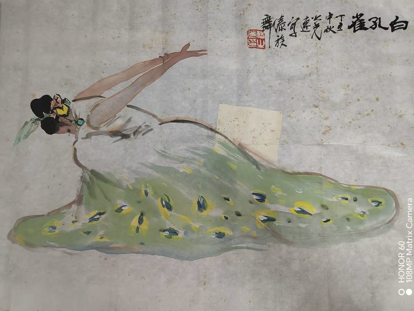 白孔雀