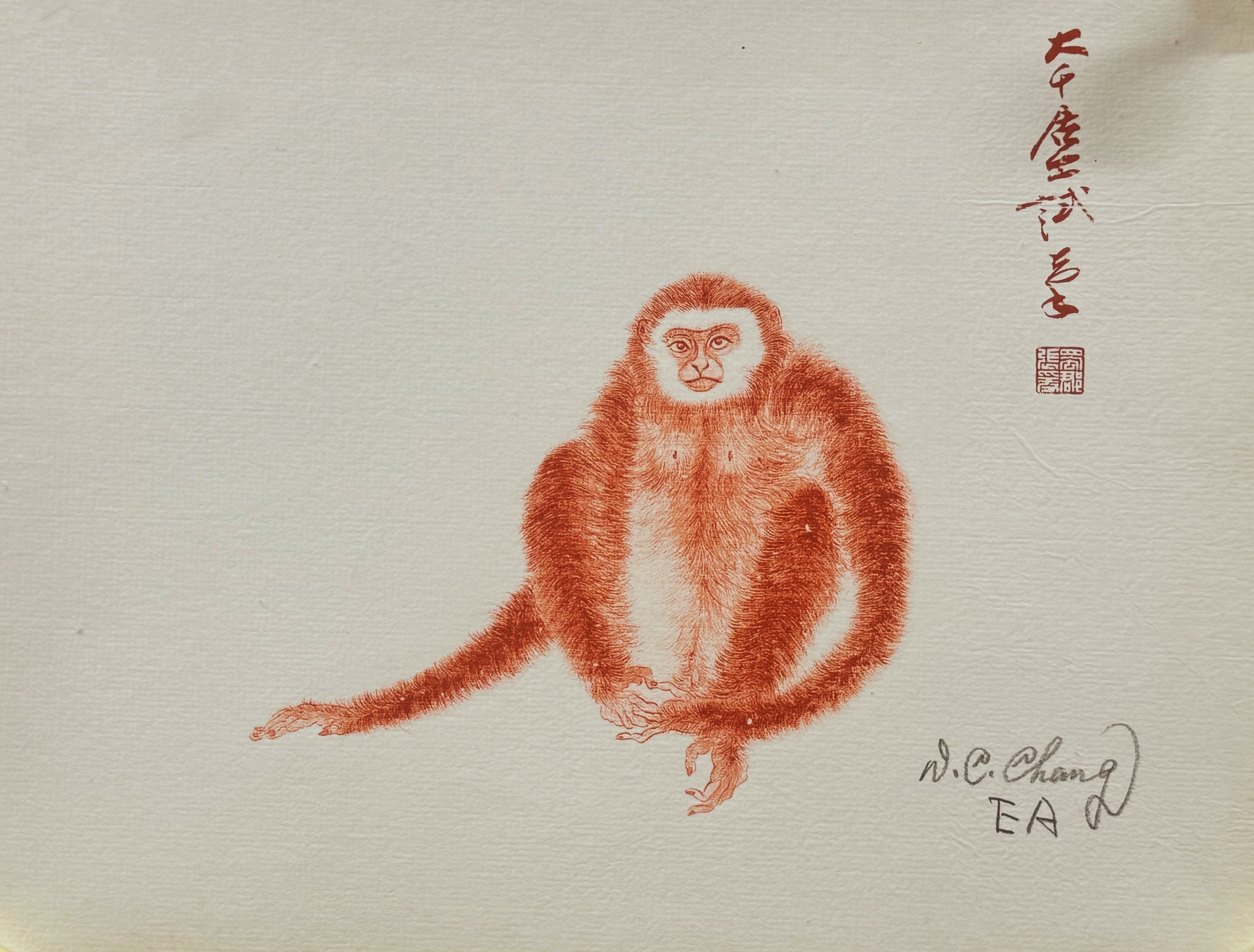 朱砂猿EA