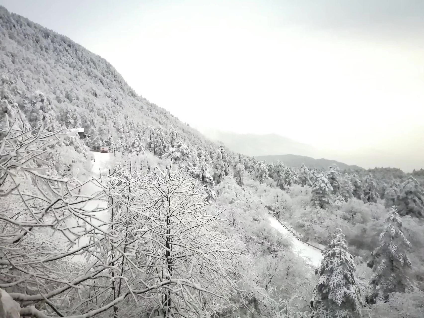 北风吹雁雪纷纷